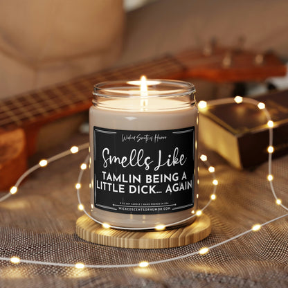 Smells Like Tamlin Being a Dick Again, ACOTAR, Bookish Gift, Reader Gift, Funny Adult Candles, Natural 9oz Soy Candle, ACOMAF Merch, Vela